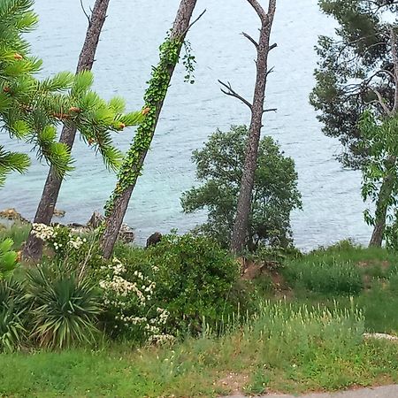 Chambre D Hote Les Heures Claires Istres Esterno foto