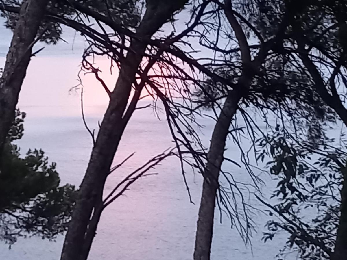 Chambre D Hote Les Heures Claires Istres Esterno foto